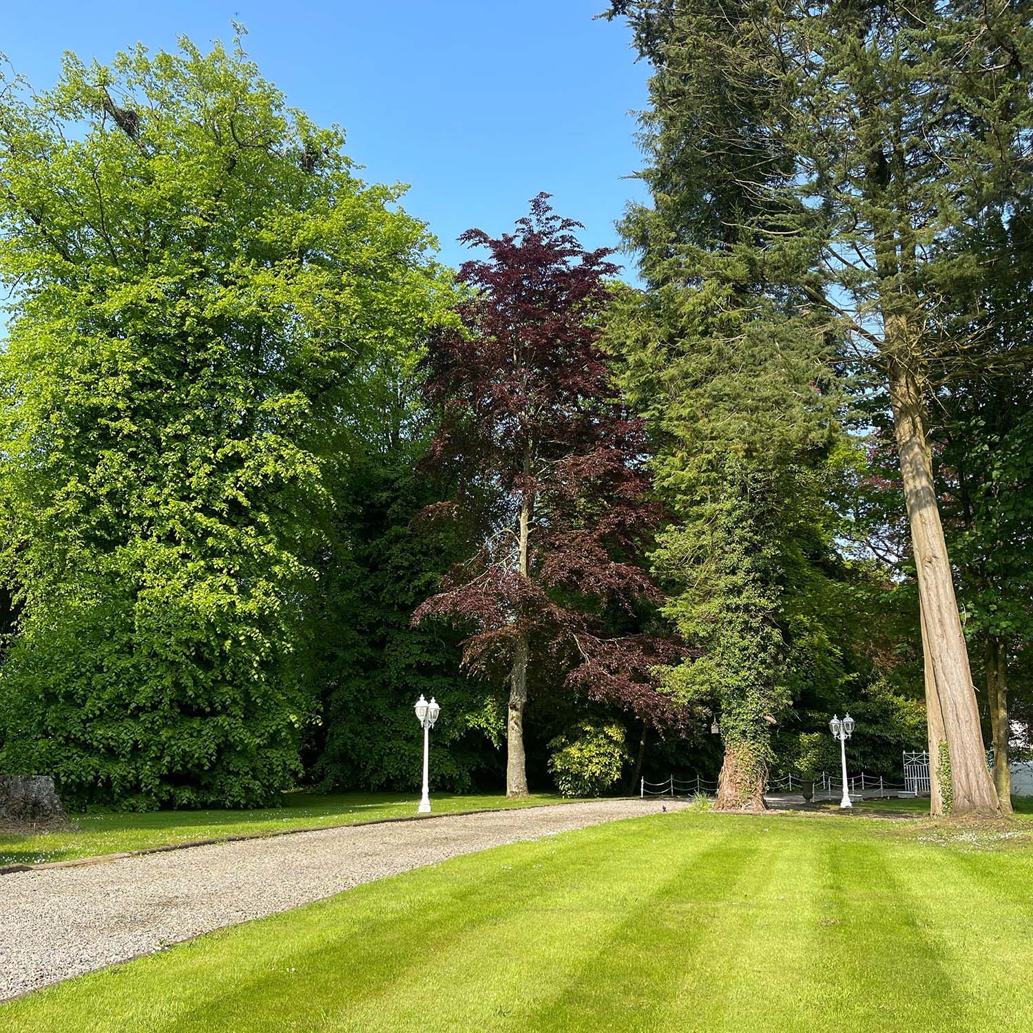 Garden path