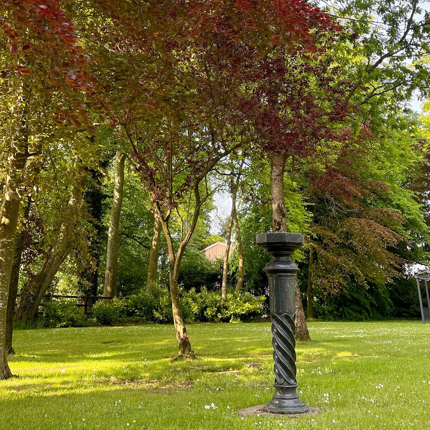 Trees with different coloured leaves